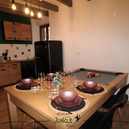 Maison "Jungle House" 90 M2 Billard, Retroprojecteur, Bar A Jeux , Vinyle, Wifi Fibre, Ideal Pro & Famille A Montbrison Exteriér fotografie